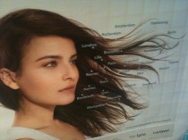 hair-layout-details